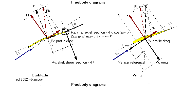 Freebody